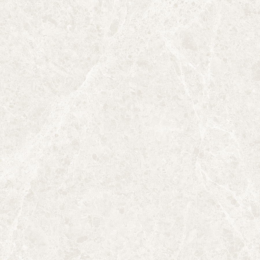 YM66E51P